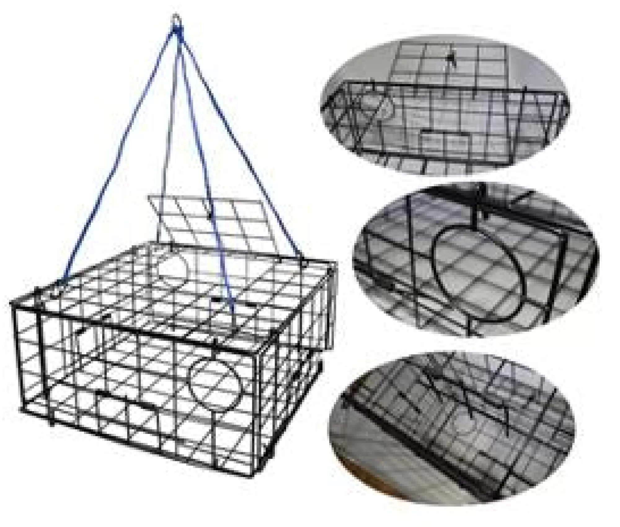 Amundson Equipments & Accessories | Equipments & Accessories^Top Load Octagon Folding Crab Trap